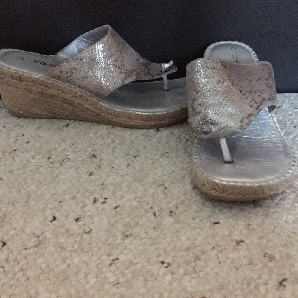 Silver Python, Wedge! - image 1